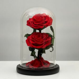 Dual Forever Red Rose — gift delivery in Lahore