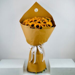 Sunshine Star — gift delivery in Lahore