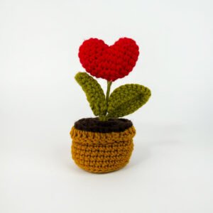Love Plant Crochet — gift delivery in Lahore