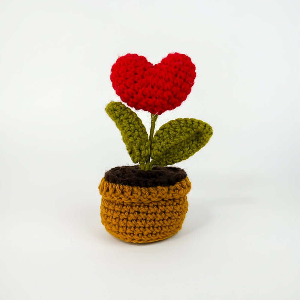 Love Plant Crochet — gift delivery in Lahore