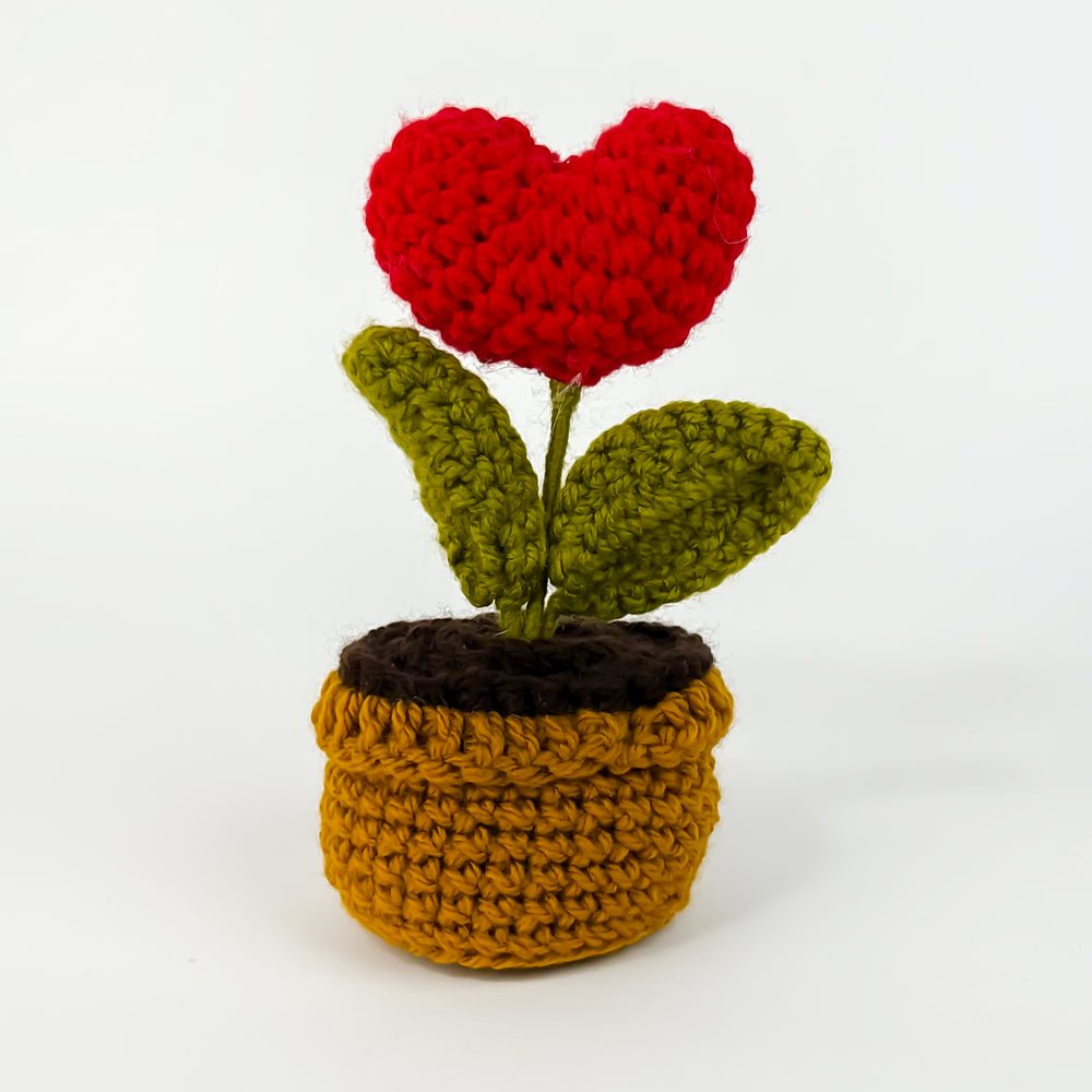 Love Plant Crochet (another view) — gift delivery in Lahore