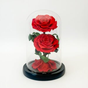 Forever Red Rose - (Double) — gift delivery in Lahore