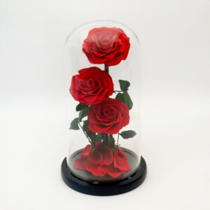 Forever Red Rose - (Triple) — gift delivery in Lahore
