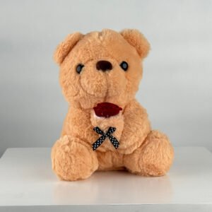 Rose Teddy Bear — gift delivery in Lahore