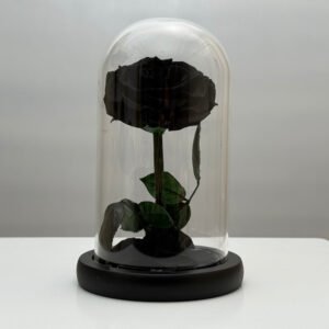 Forever Black Rose — gift delivery in Lahore