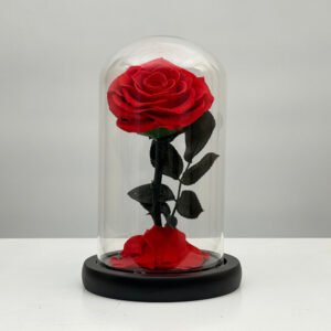 Forever Red Rose — gift delivery in Lahore
