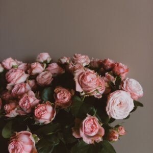 Blush Pink Roses Bouquet — Tohfaat gift delivery in Lahore and Burewala