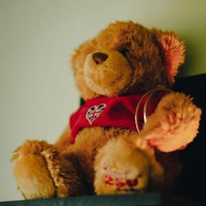 Big Brown Teddy Bear — Tohfaat gift delivery in Lahore and Burewala