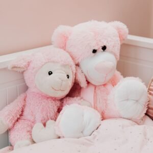 Pink Teddy Pair — Tohfaat gift delivery in Lahore and Burewala